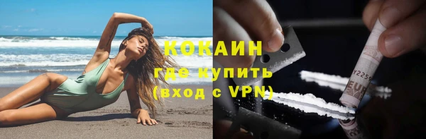 прущая мука Арсеньев