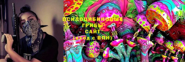 прущая мука Арсеньев
