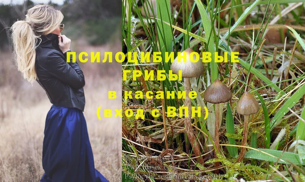 метадон Аркадак