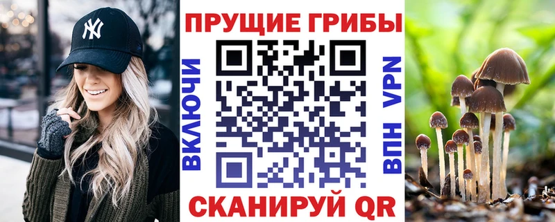 Псилоцибиновые грибы GOLDEN TEACHER  купить наркотики сайты  Артёмовский 